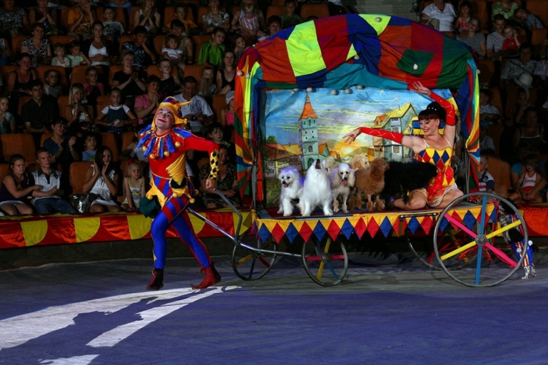 Travel circus in Florida. Circus performers for hire in Orlando
