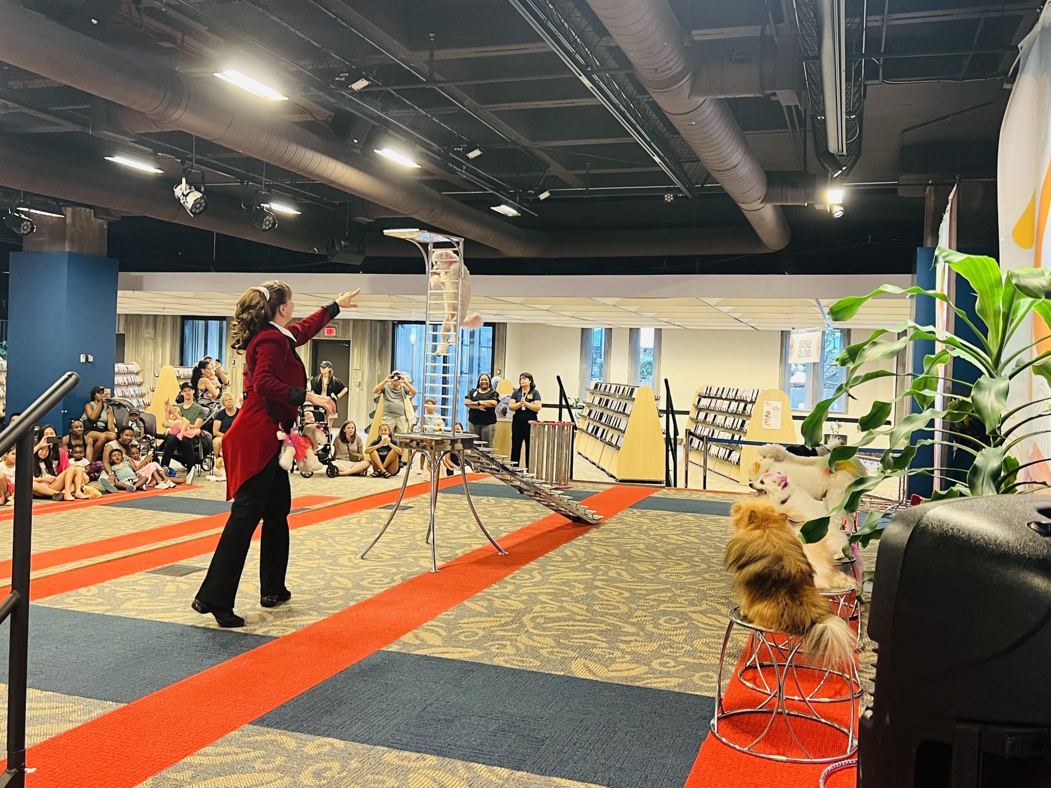 2023 ⋆ Menestrelli Circus Dog Show